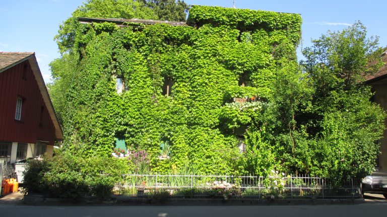 Aesch Basel Tannenkirch Kandertalbahn Zürich